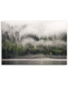 Canvas print - Forest in the fog | FEEBY