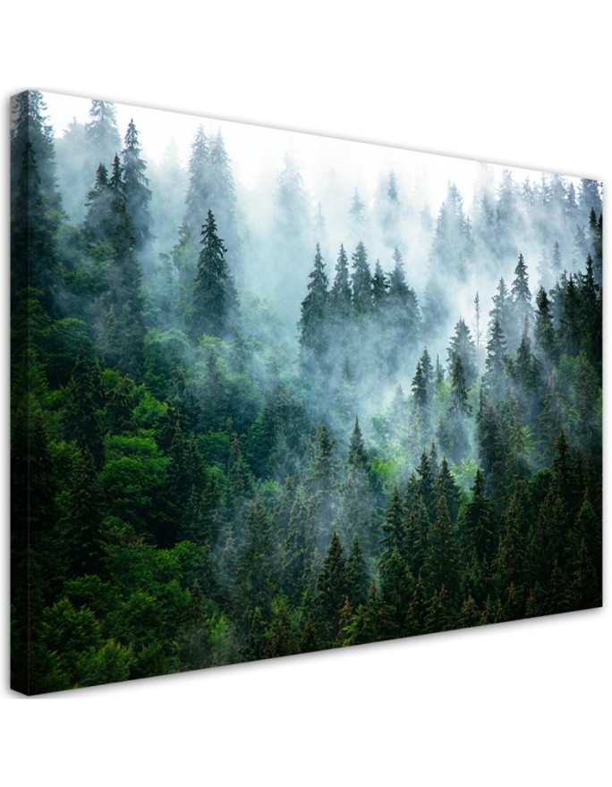 Canvas print Forest in the fog