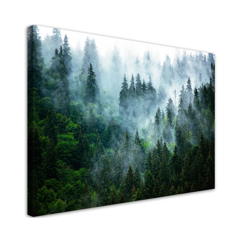 Modern Canvas painting for living room - Forest in the fog | FEEBY