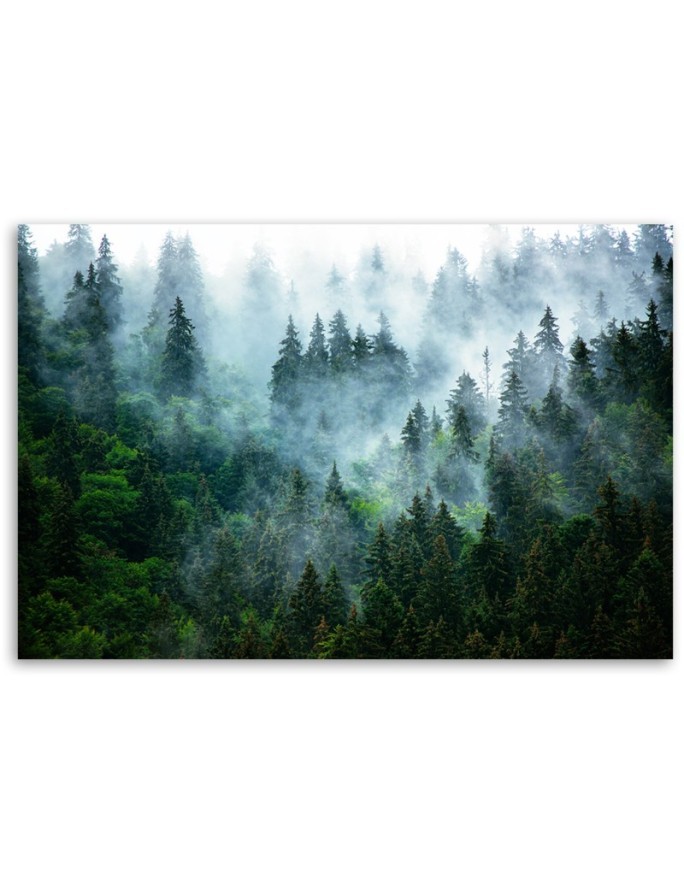 Modern Canvas painting for living room - Forest in the fog | FEEBY