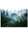 Modern Canvas painting for living room - Forest in the fog | FEEBY