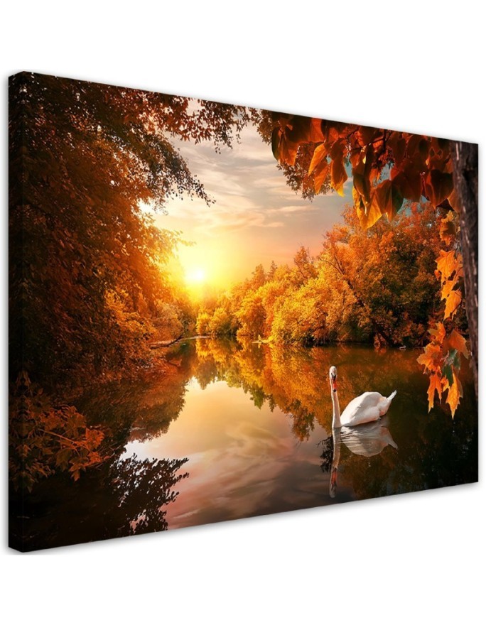 Canvas painting - Swan on a pond autumn | FEEBY