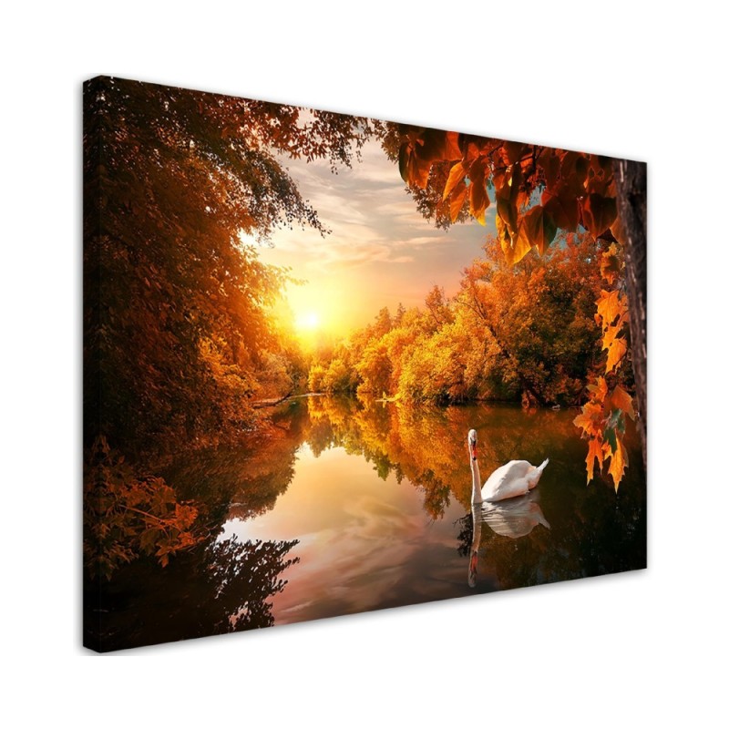 Canvas painting - Swan on a pond autumn | FEEBY
