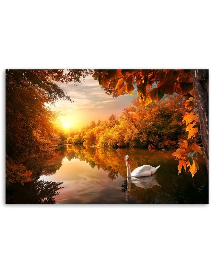 Canvas painting - Swan on a pond autumn | FEEBY