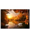 Canvas painting - Swan on a pond autumn | FEEBY