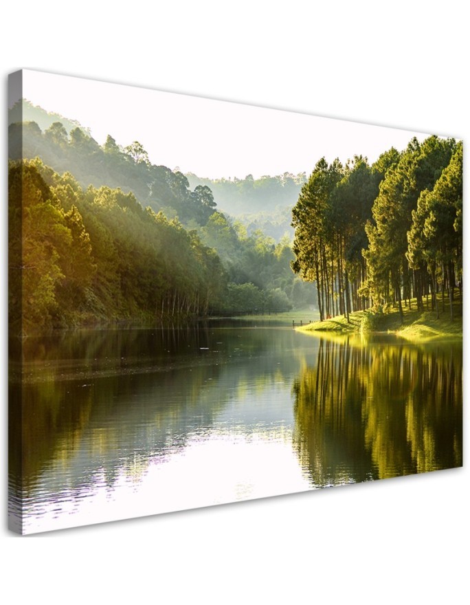 Canvas painting for living room - Landscape forest trees nature | FEEBY