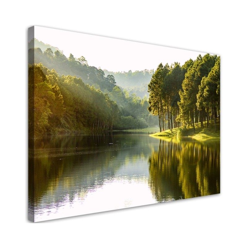 Canvas painting for living room - Landscape forest trees nature | FEEBY