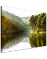 Canvas painting for living room - Landscape forest trees nature | FEEBY