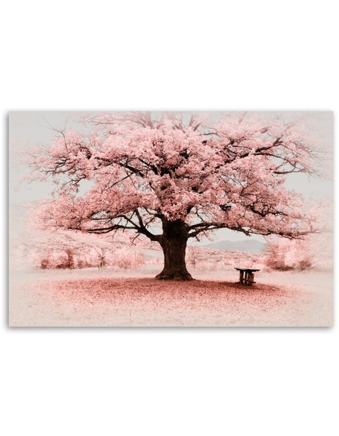 Canvas print - Pink tree abstract nature. Buy now| | FEEBY