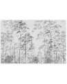 Tall thin trees - Canvas print | FEEBY