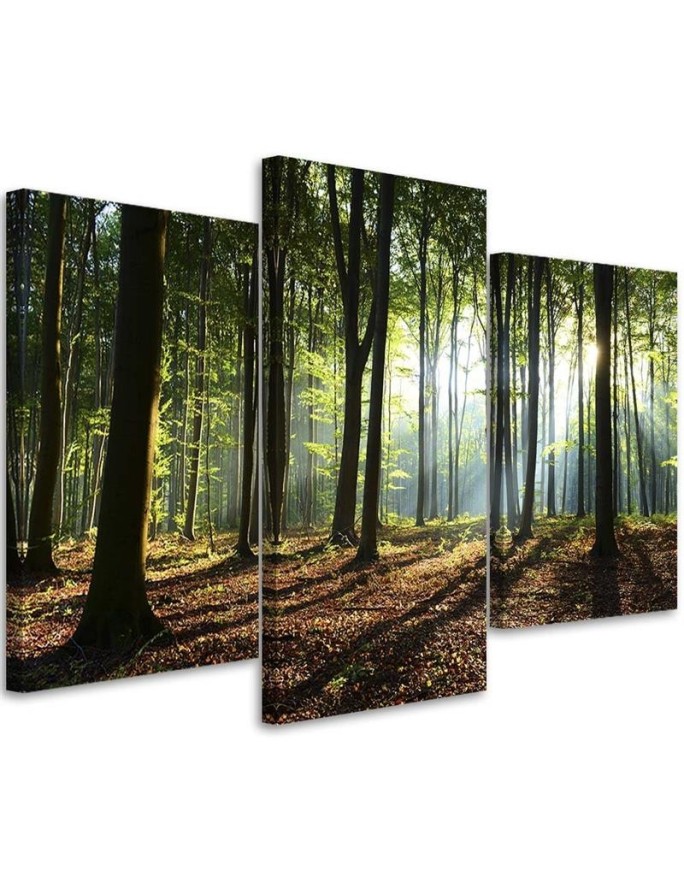 Canvas painting - Sunshine in the forest | FEEBY