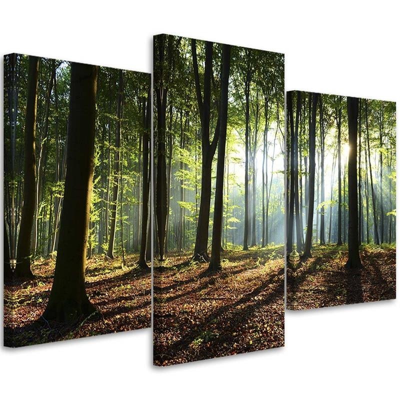 Canvas painting - Sunshine in the forest | FEEBY