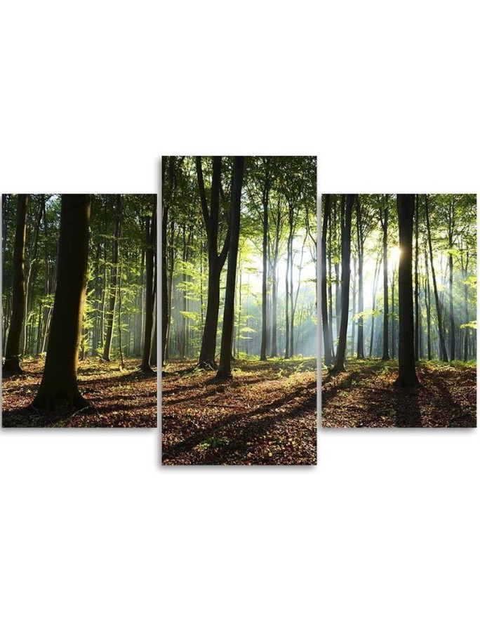 Canvas painting - Sunshine in the forest | FEEBY