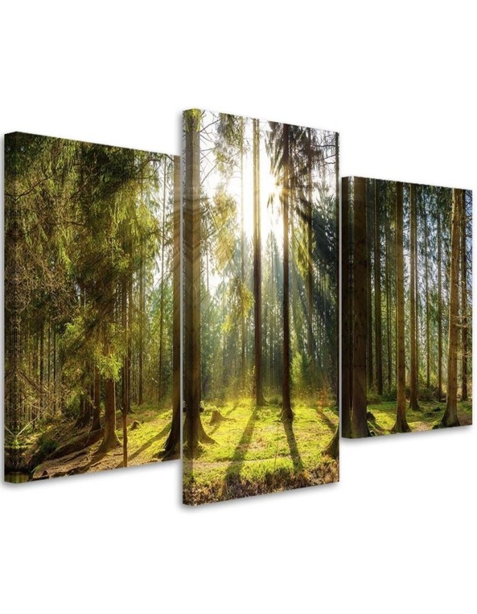 Modern multi-panel painting - Sunny day in the forest | FEEBY