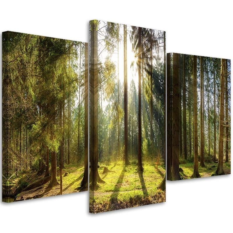 Modern multi-panel painting - Sunny day in the forest | FEEBY