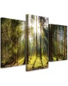 Modern multi-panel painting - Sunny day in the forest | FEEBY