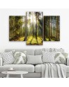 Modern multi-panel painting - Sunny day in the forest | FEEBY