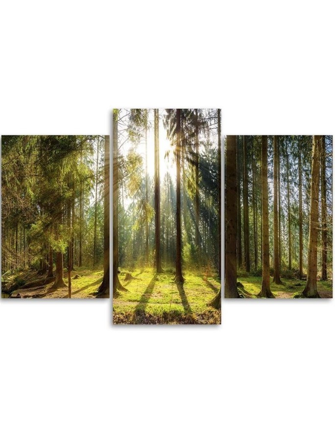 Modern multi-panel painting - Sunny day in the forest | FEEBY