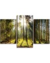 Modern multi-panel painting - Sunny day in the forest | FEEBY