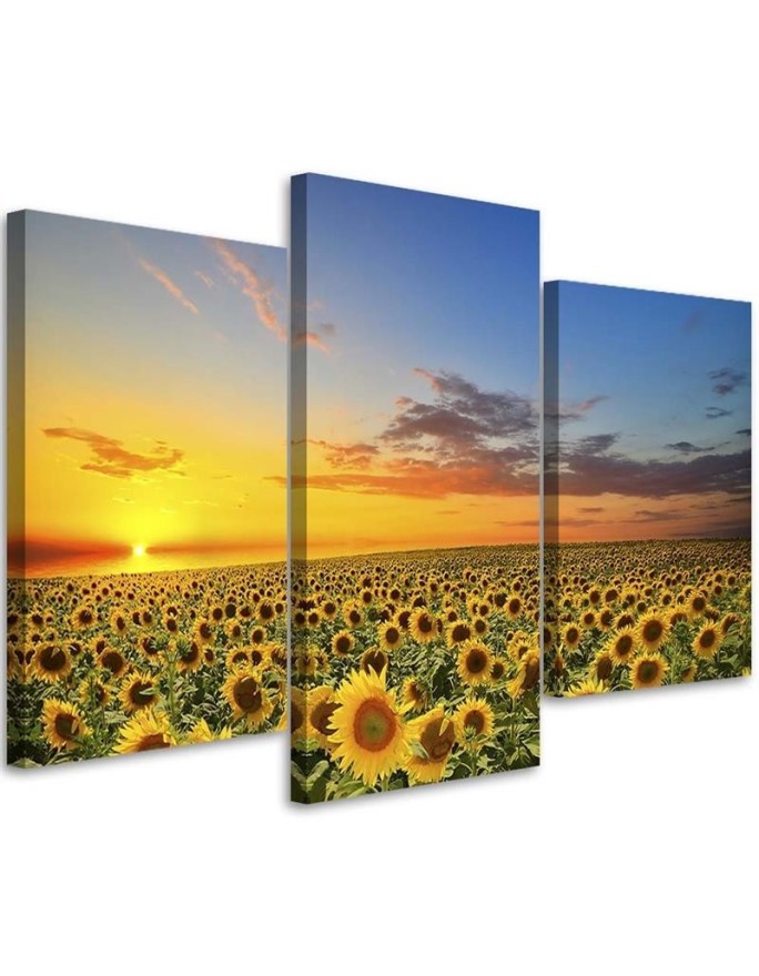 3 piece Bedroom painting - Meadow of sunflowers at sunset | FEEBY
