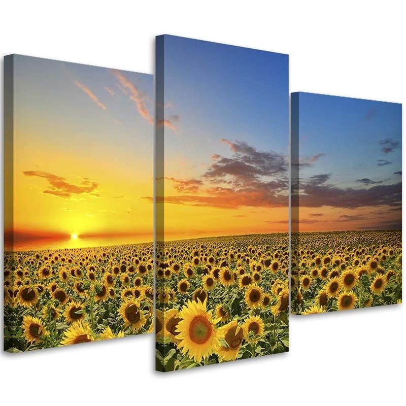 3 piece Bedroom painting - Meadow of sunflowers at sunset | FEEBY
