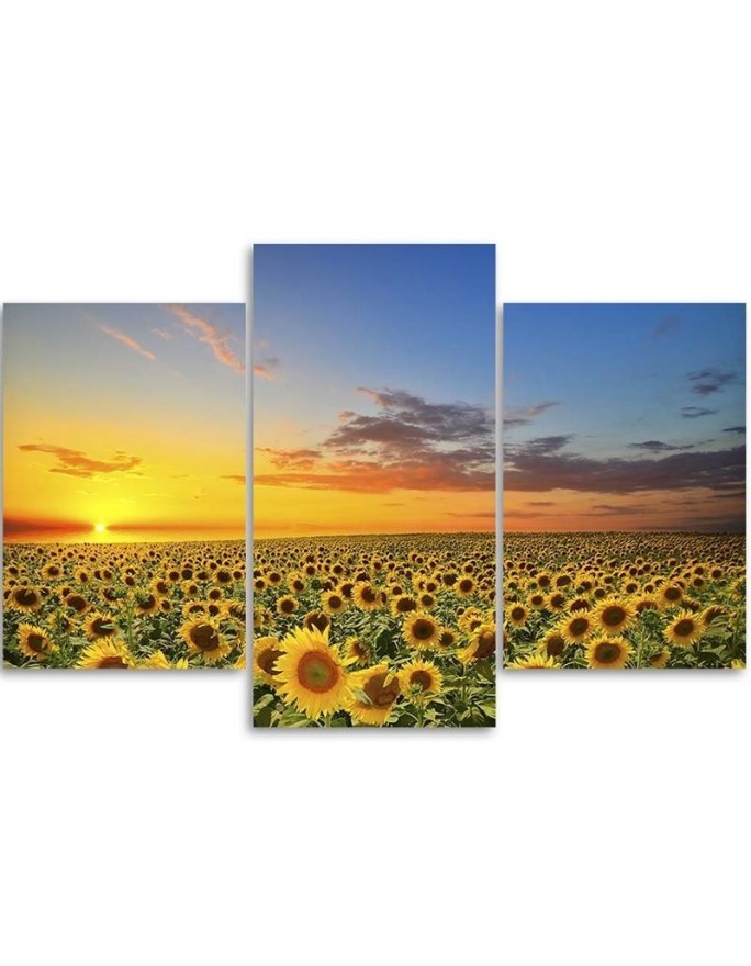 3 piece Bedroom painting - Meadow of sunflowers at sunset | FEEBY