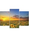 3 piece Bedroom painting - Meadow of sunflowers at sunset | FEEBY