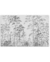 Canvas print - Tall trees in the forest | FEEBY