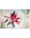 Canvas print for living room - Pink lily | FEEBY