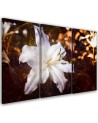 Canvas painting - White lily on brown background | FEEBY
