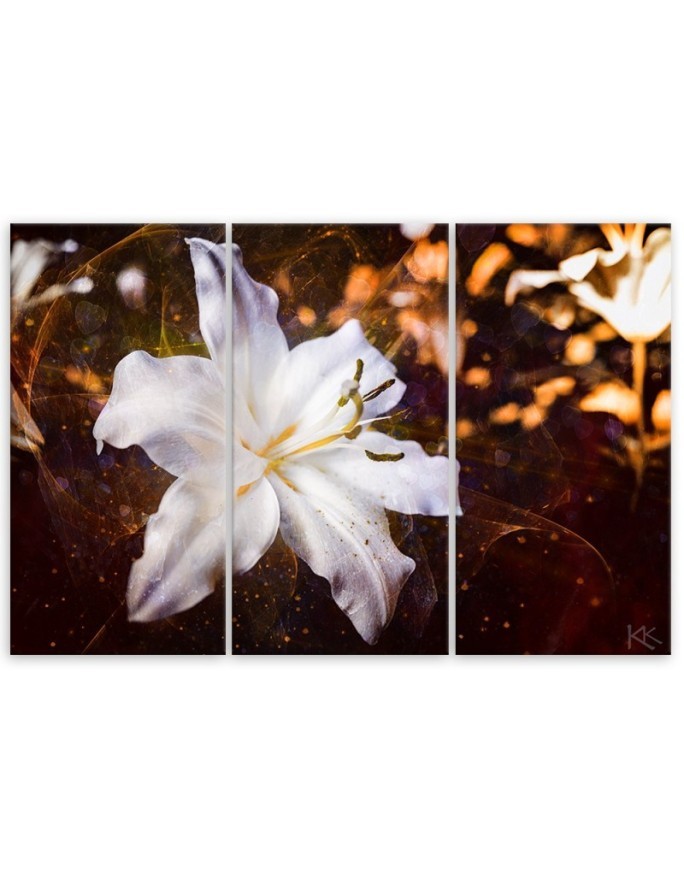 Canvas painting - White lily on brown background | FEEBY