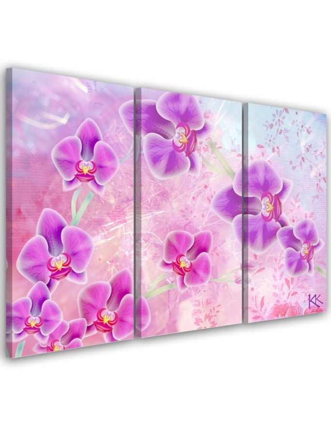 Canvas print Orchid flowers...