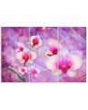 Canvas print for bedroom modern - Orchid Flowers Abstract | FEEBY