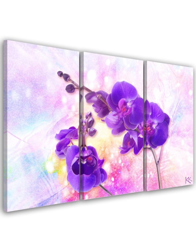 Canvas print for living room 3-part - Purple orchid flower | FEEBY