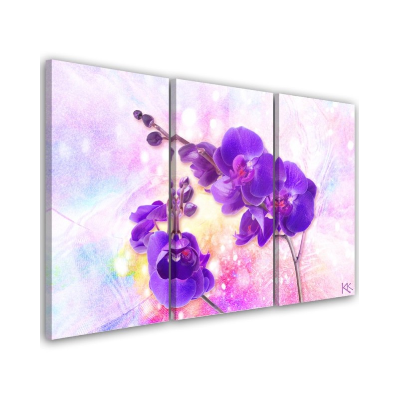 Canvas print for living room 3-part - Purple orchid flower | FEEBY