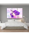 Canvas print for living room 3-part - Purple orchid flower | FEEBY