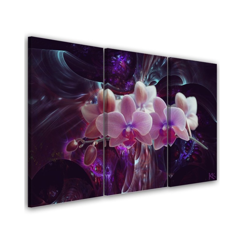 Canvas print modern - White orchid on dark background | FEEBY