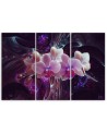Canvas print modern - White orchid on dark background | FEEBY