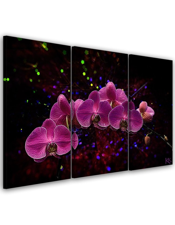 Canvas print Orchid on a...