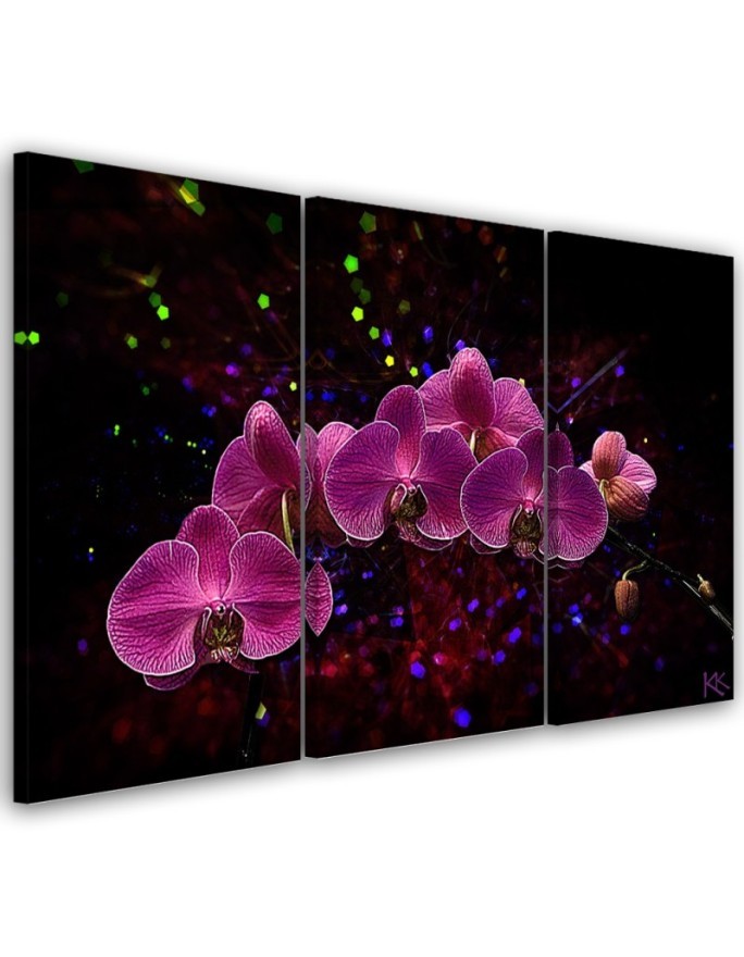 Canvas print - Orchid on dark background | FEEBY
