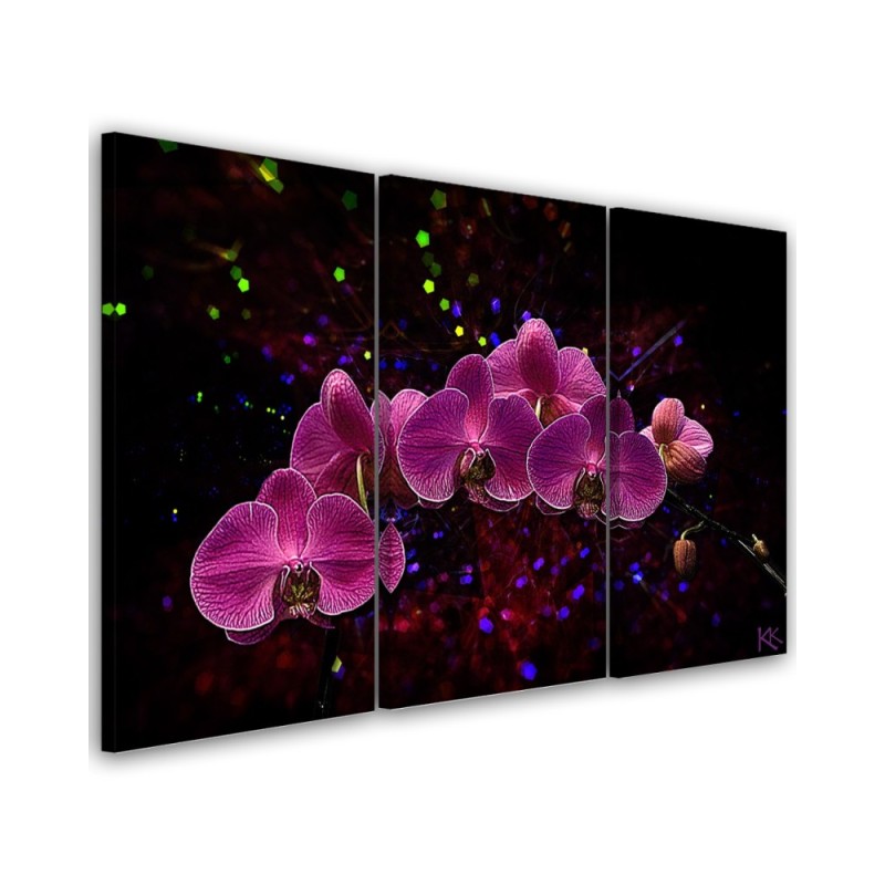 Canvas print - Orchid on dark background | FEEBY