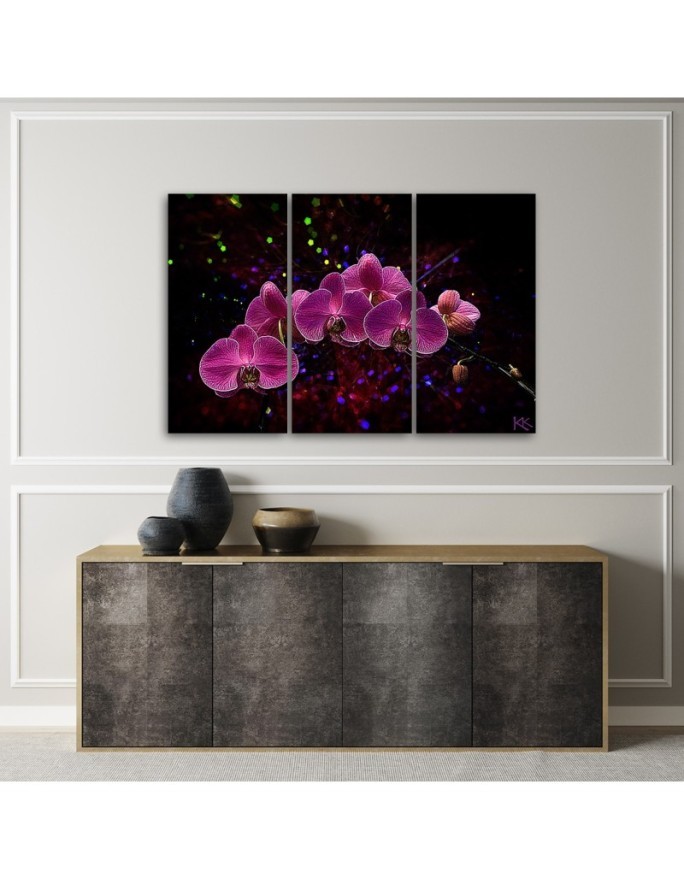 Canvas print - Orchid on dark background | FEEBY
