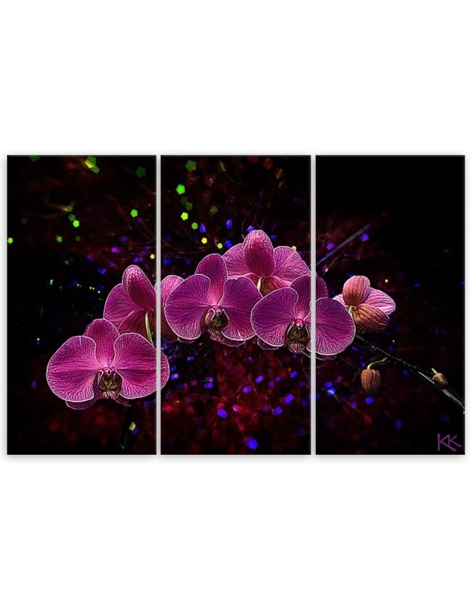 Canvas print - Orchid on dark background | FEEBY