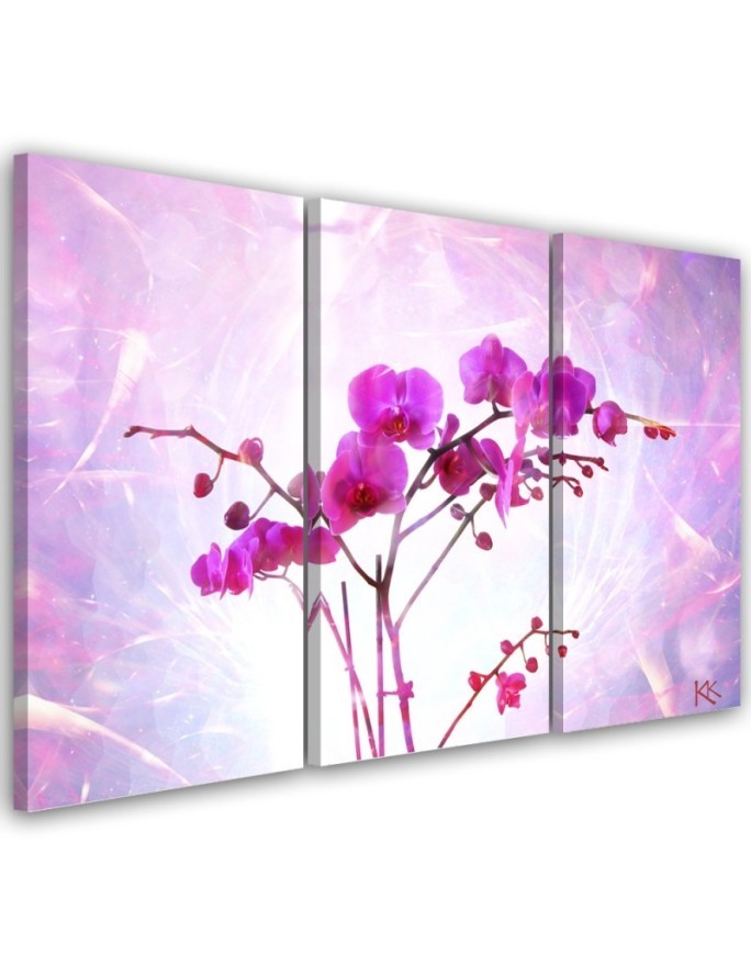 3-piece canvas painting - Ethereal orchid | FEEBY