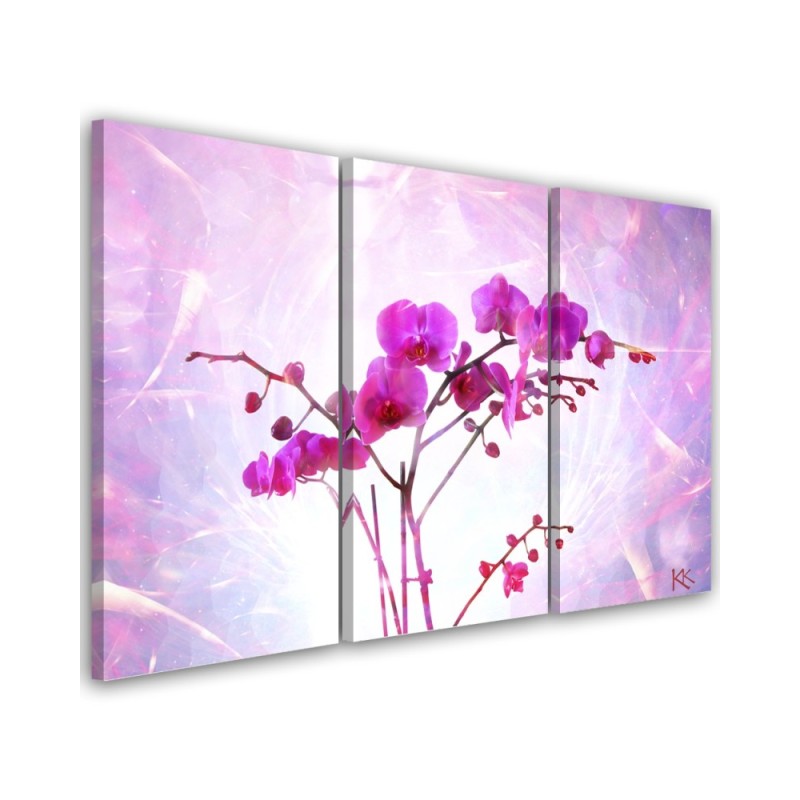 3-piece canvas painting - Ethereal orchid | FEEBY