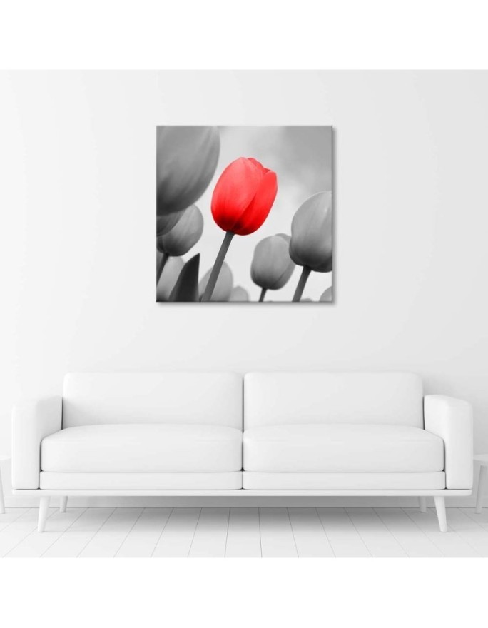 Canvas prints for living room - Red tulip in grey | FEEBY