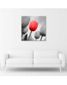Canvas prints for living room - Red tulip in grey | FEEBY