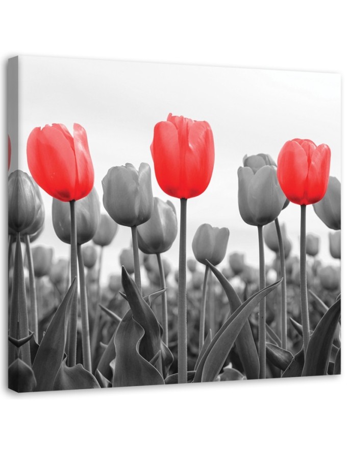 Canvas print Red tulips on...