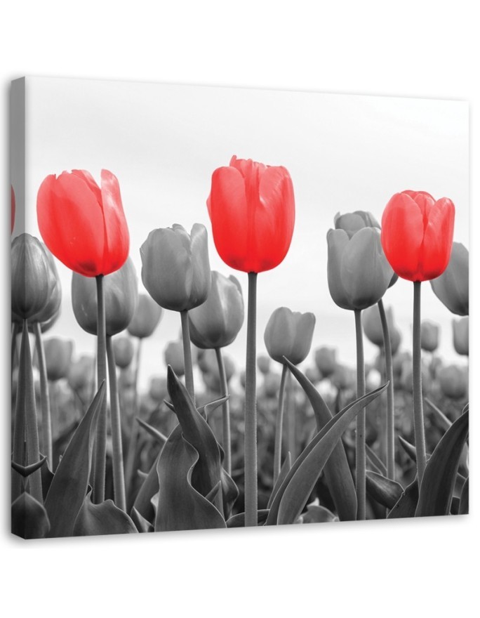 Canvas painting - Red tulips in a meadow | FEEBY