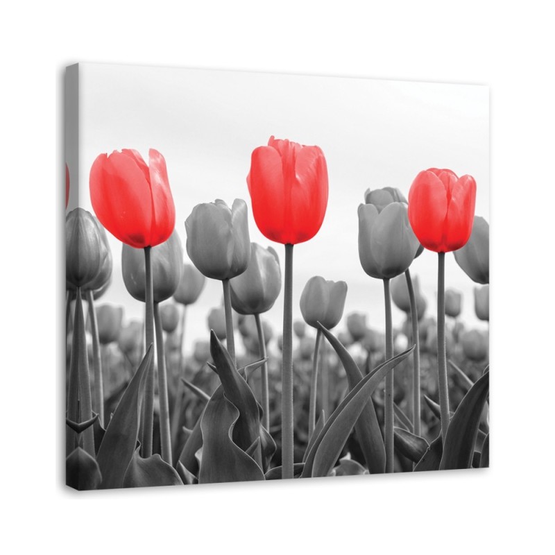 Canvas painting - Red tulips in a meadow | FEEBY